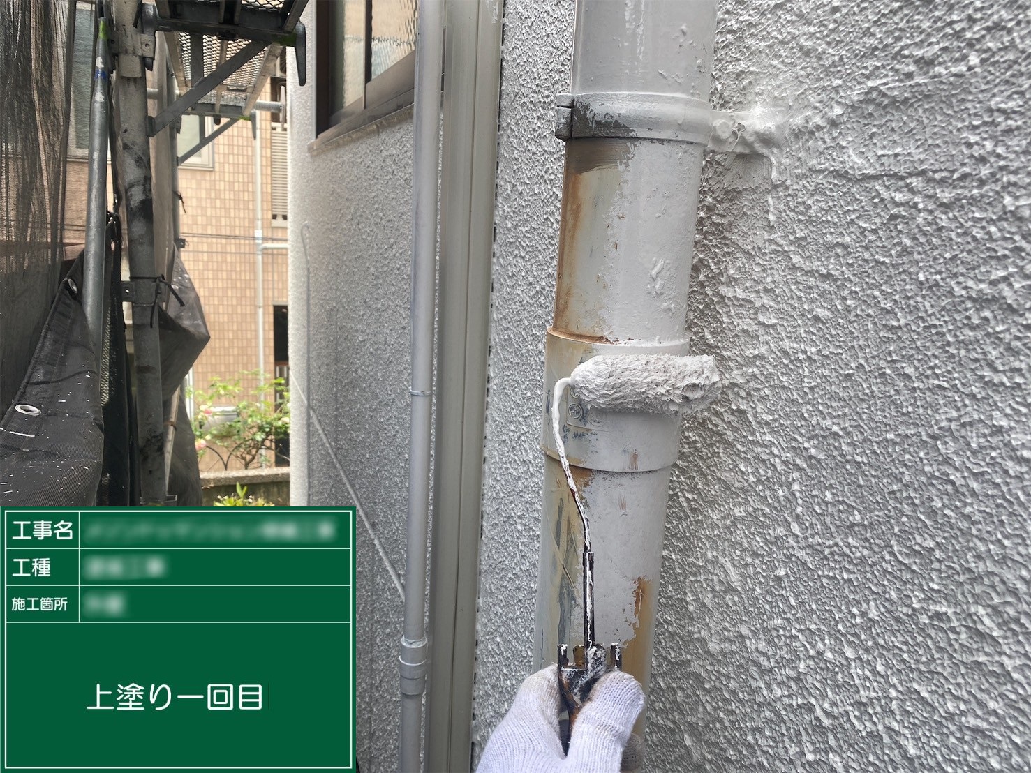 ⑤上塗り１回目